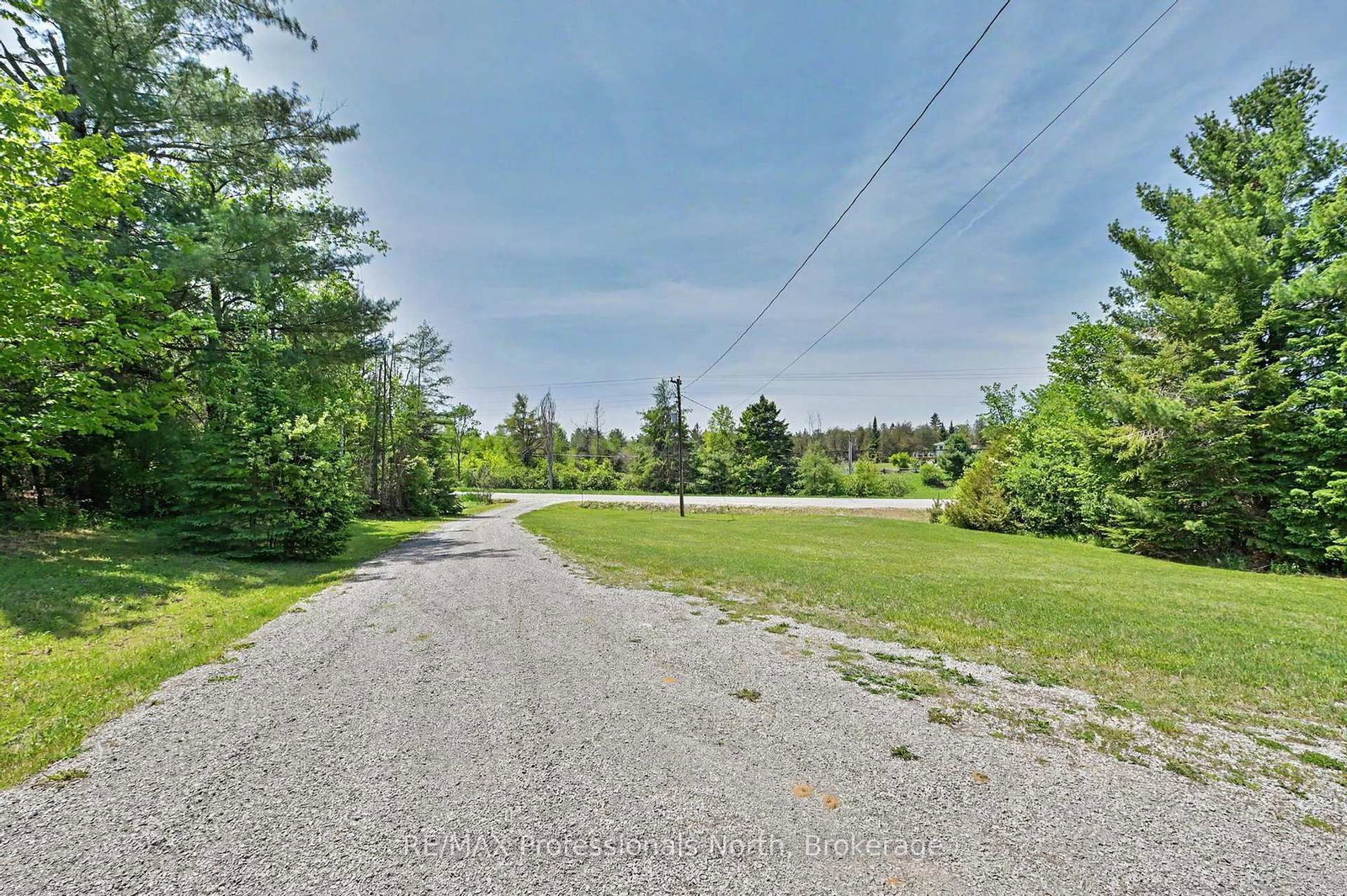 3186 COUNTY ROAD 121 Road • Trent Lakes, ON photo 6