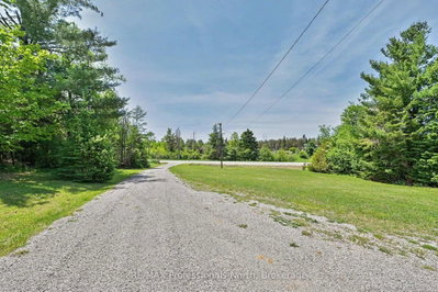3186 COUNTY ROAD 121 Road • Trent Lakes, ON photo 6