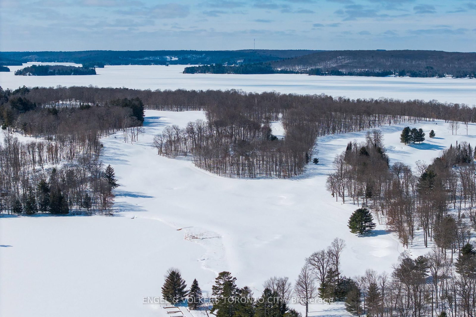 12 Bigwin Island • #221 • Lake of Bays, ON photo 46