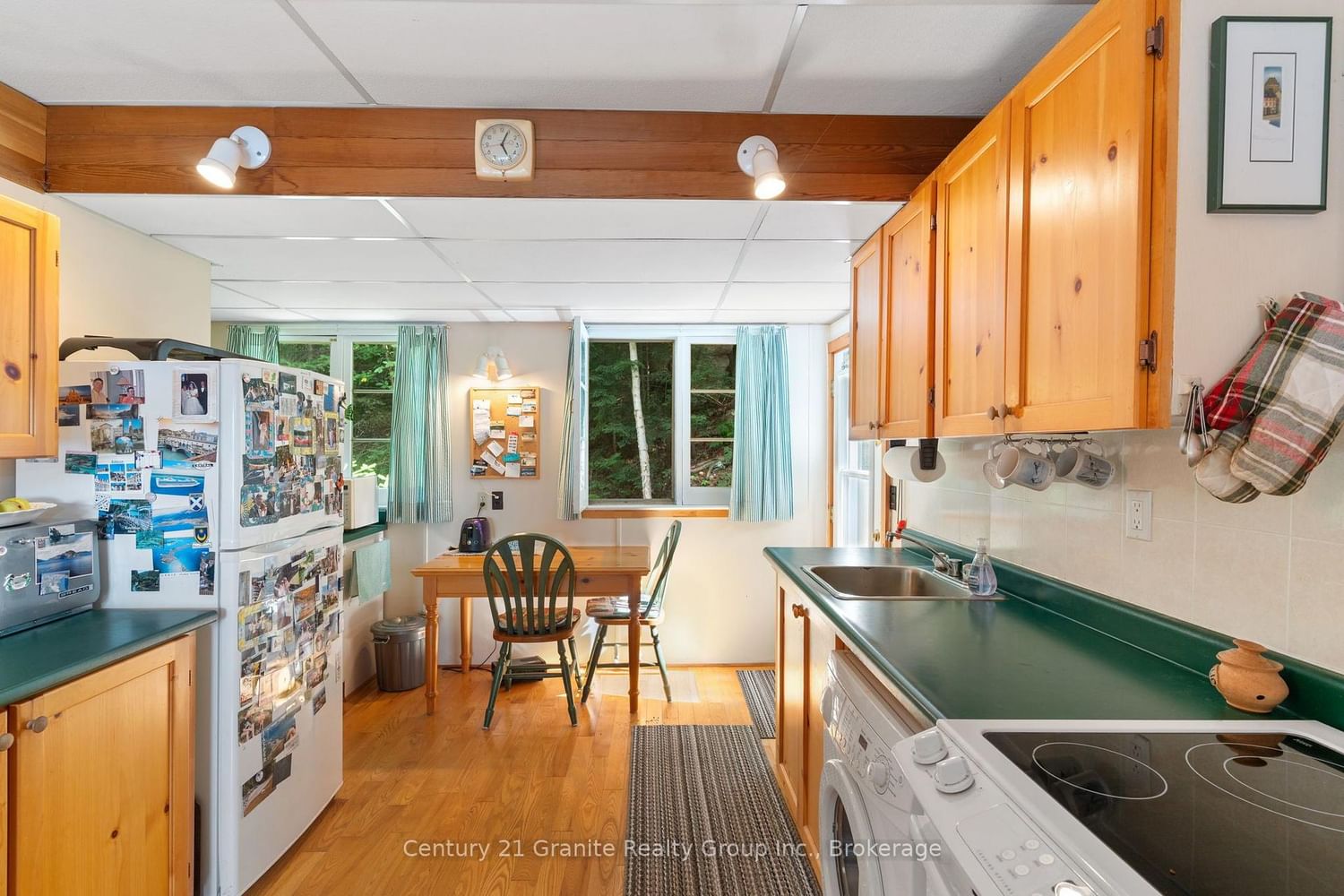1010 Badger Lane • Dysart et al, ON photo 6