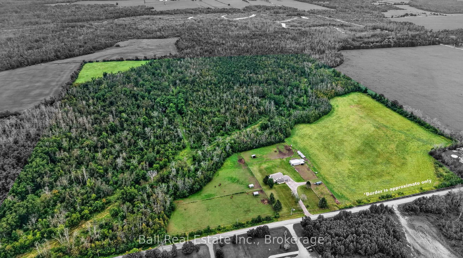 92 Cricket Hollow Road • Kawartha Lakes, ON photo 1