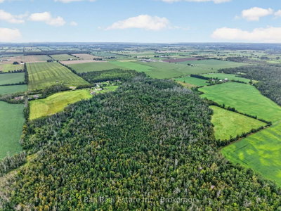 92 Cricket Hollow Road • Kawartha Lakes, ON photo 6