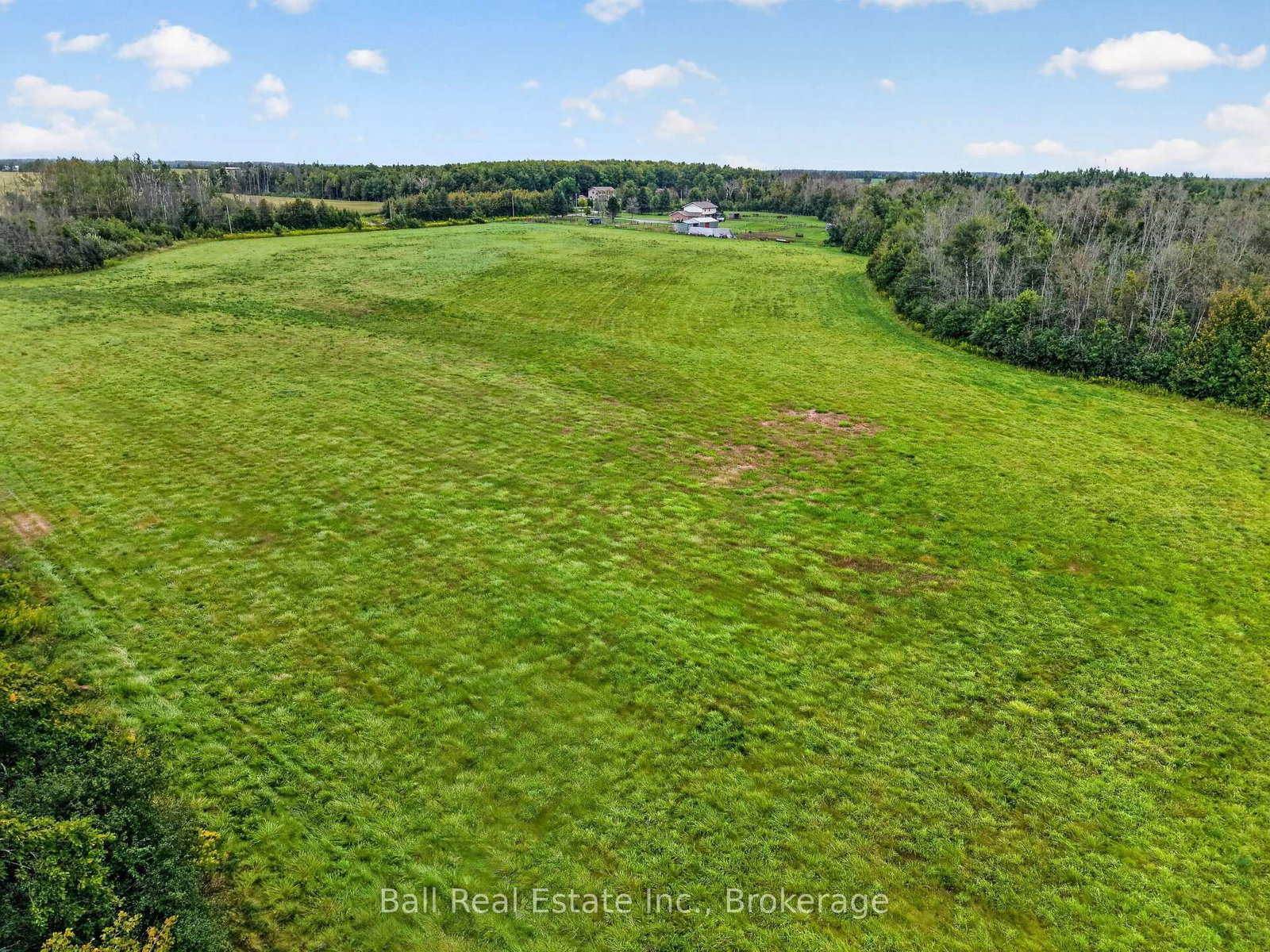 92 Cricket Hollow Road • Kawartha Lakes, ON photo 8