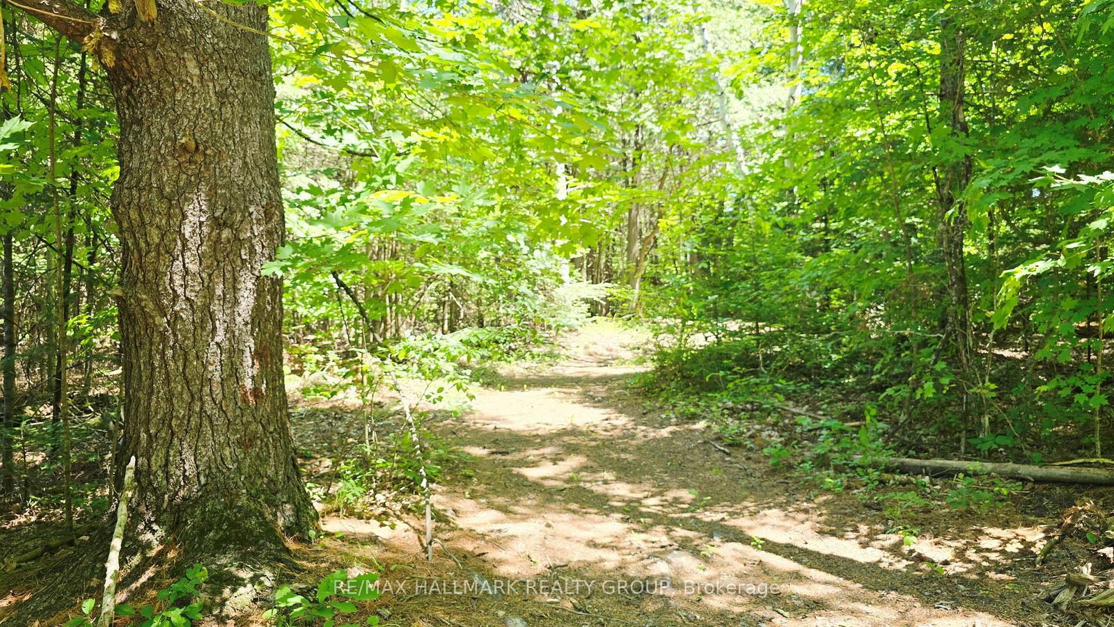 4318 Stonecrest Road • Ottawa, ON photo 30