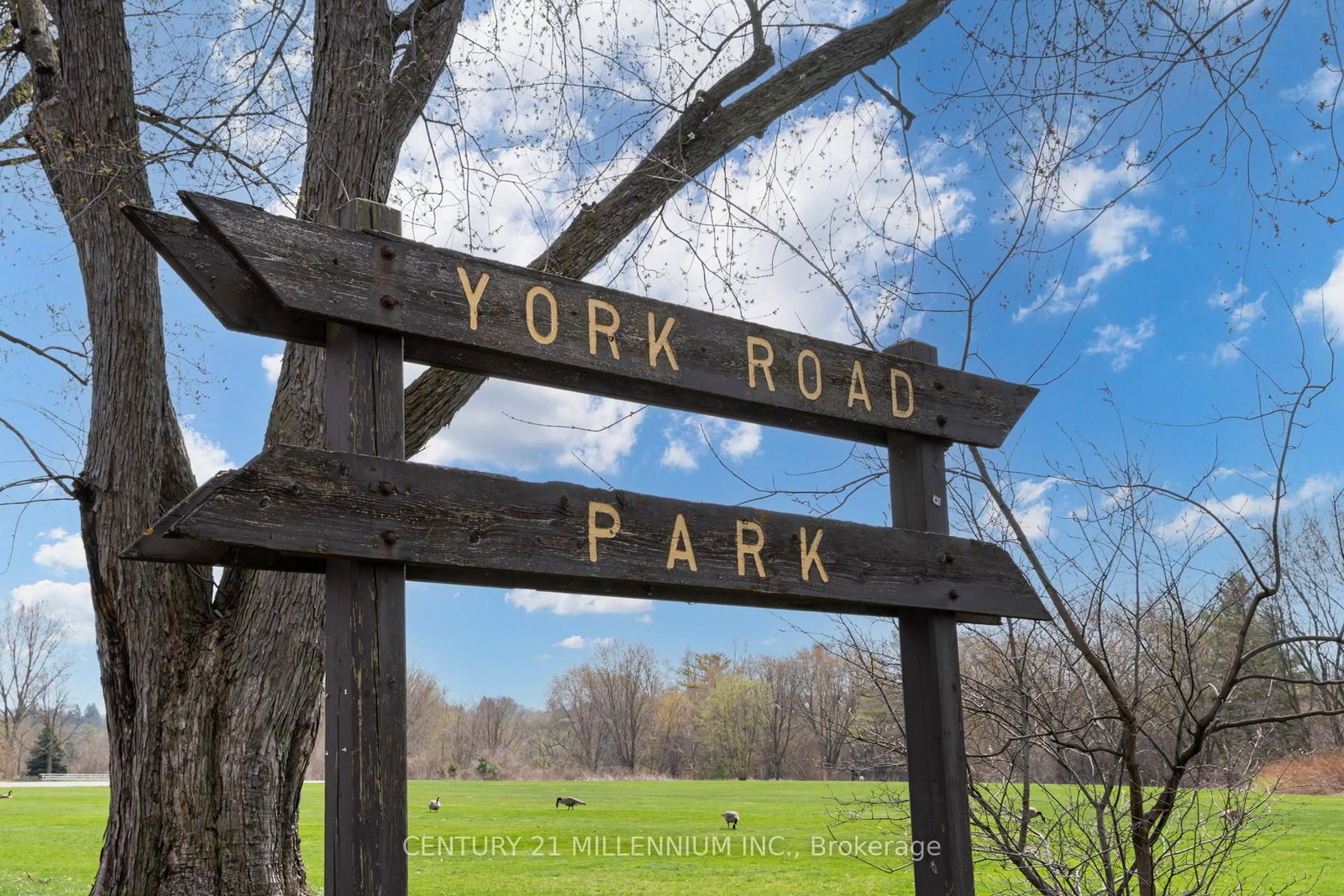 78 York Road • Guelph, ON photo 46