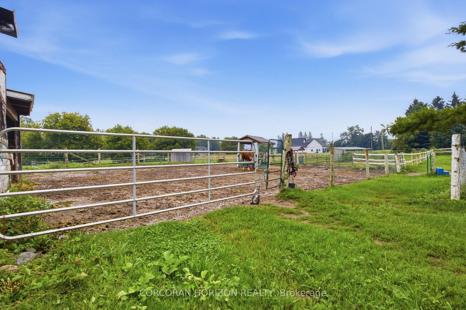 1238 Snyder's Road E • Wilmot, ON photo 43