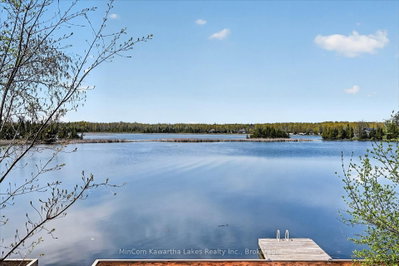 54 Woodland Trail • Trent Lakes, ON photo 8