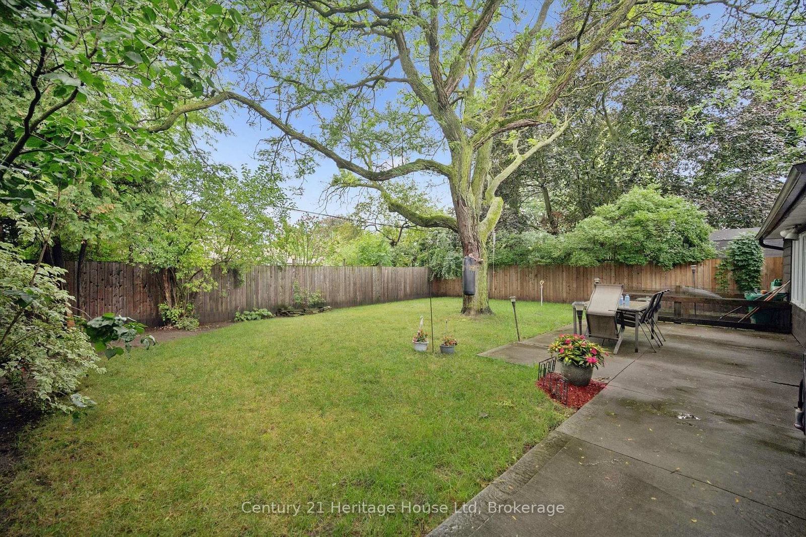 146 Cornell Avenue • Kitchener, ON photo 37