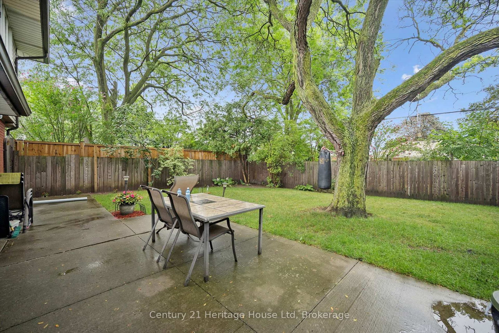 146 Cornell Avenue • Kitchener, ON photo 38