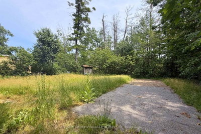 2 Oakwood Drive • Kawartha Lakes, ON photo 3