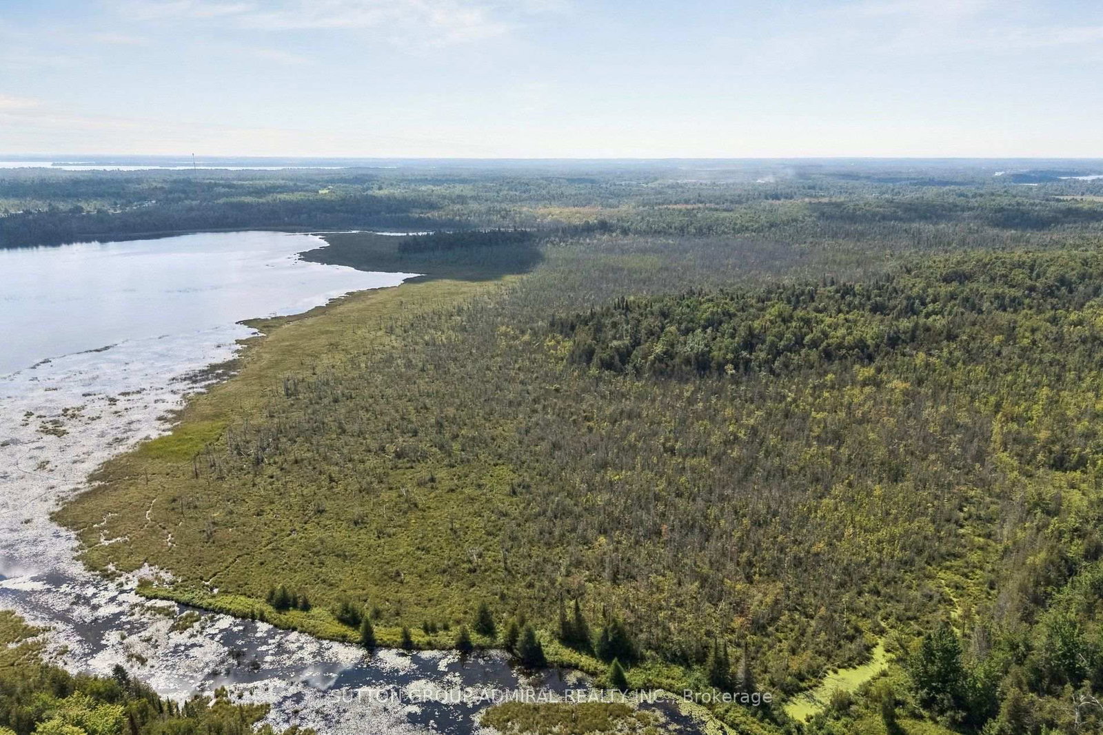 124 Doyle Road • Kawartha Lakes, ON photo 10