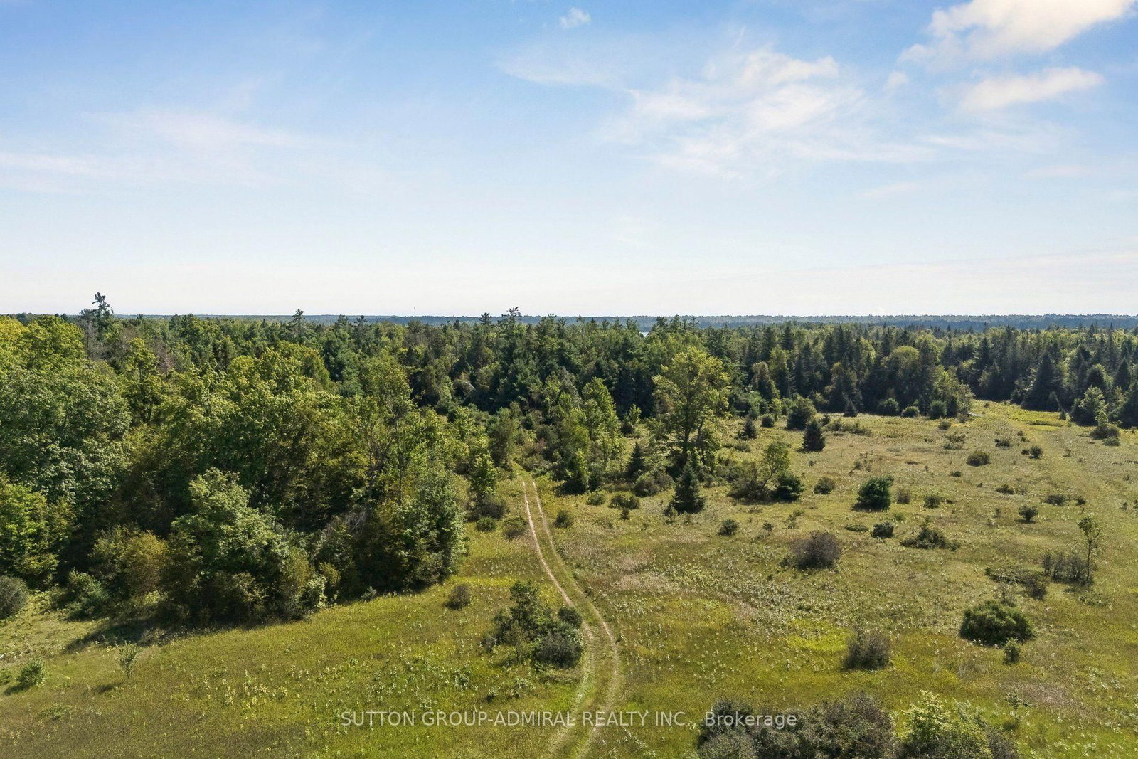 124 Doyle Road • Kawartha Lakes, ON photo 6