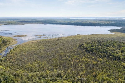 124 Doyle Road • Kawartha Lakes, ON photo 9