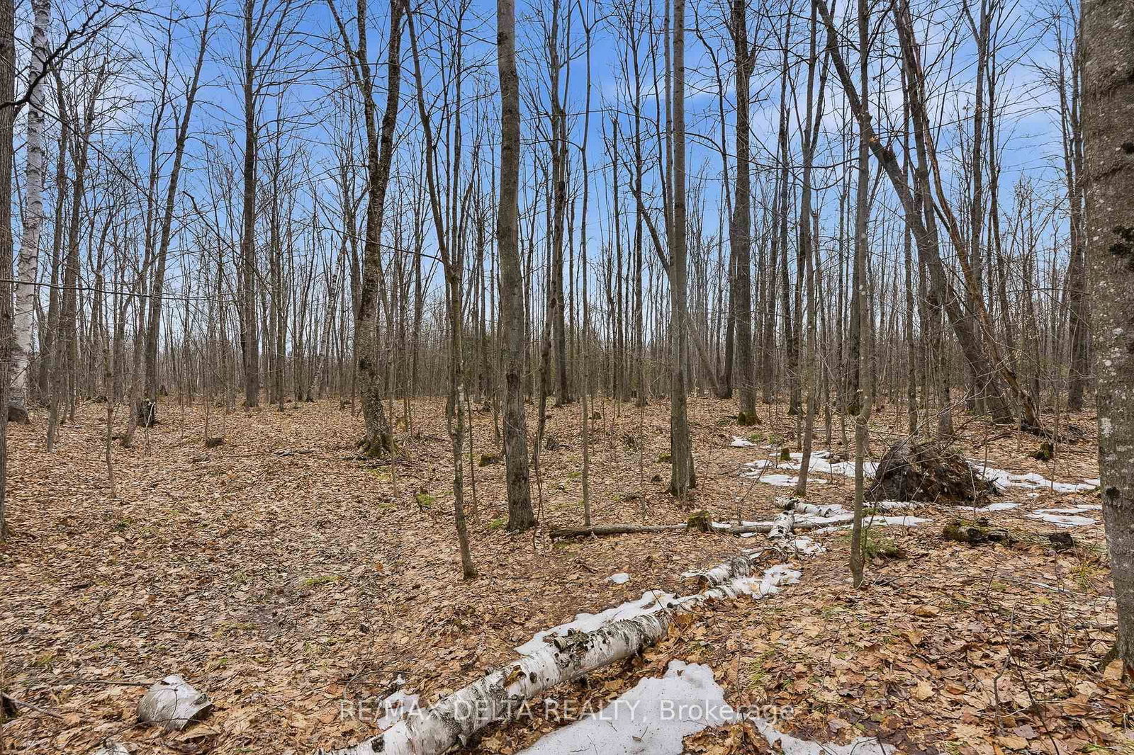 00 PART OF LOT 11 GAGNE Road • Clarence-Rockland, ON photo 13
