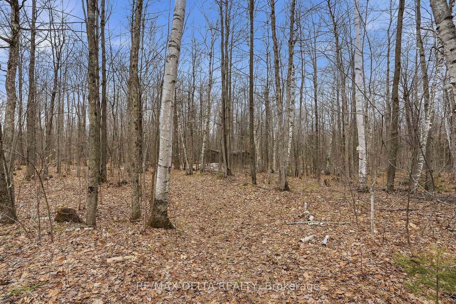 00 PART OF LOT 11 GAGNE Road • Clarence-Rockland, ON photo 14