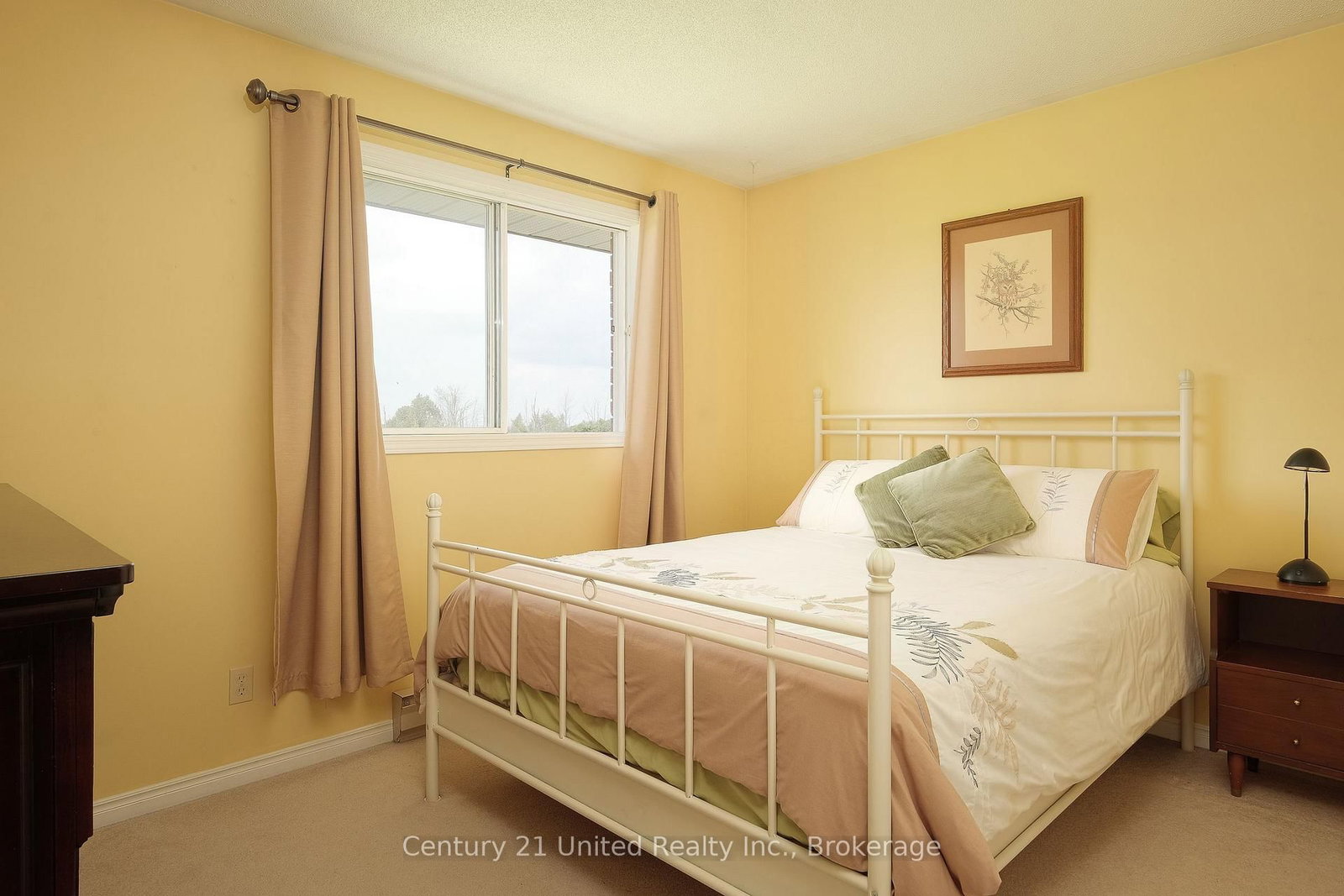 1118 5th Line • Selwyn, ON photo 14