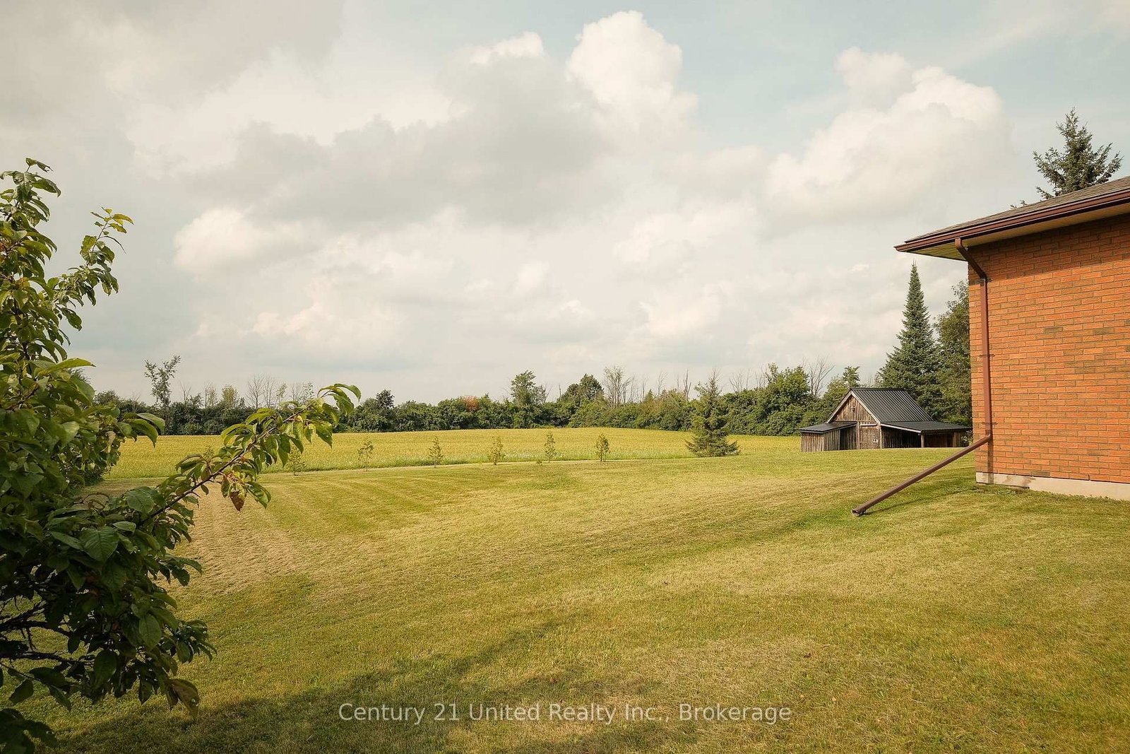 1118 5th Line • Selwyn, ON photo 36