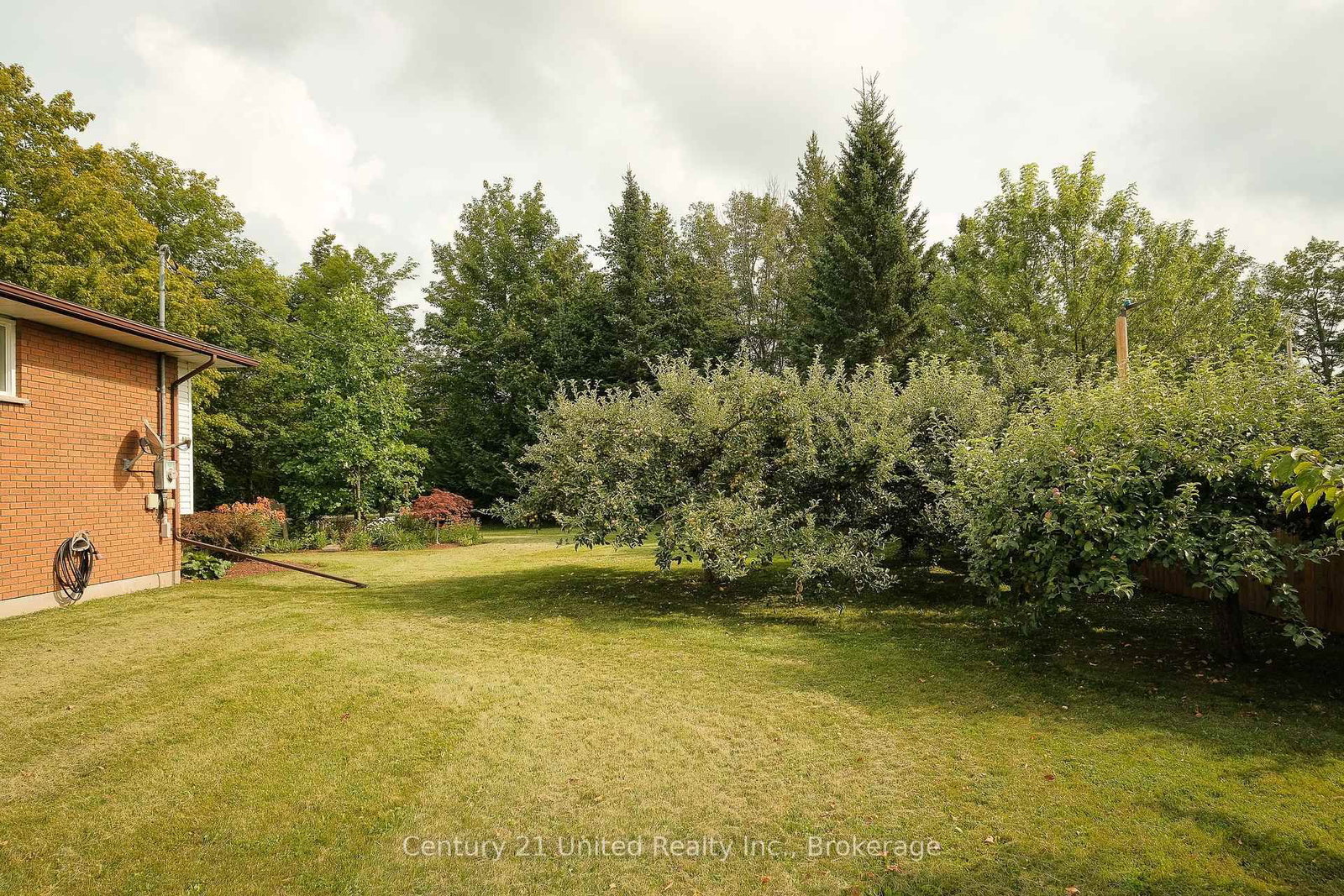 1118 5th Line • Selwyn, ON photo 37