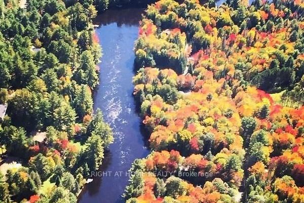 1019 Forrester Trail • Bracebridge, ON photo 13