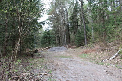 1019 Forrester Trail • Bracebridge, ON photo 4