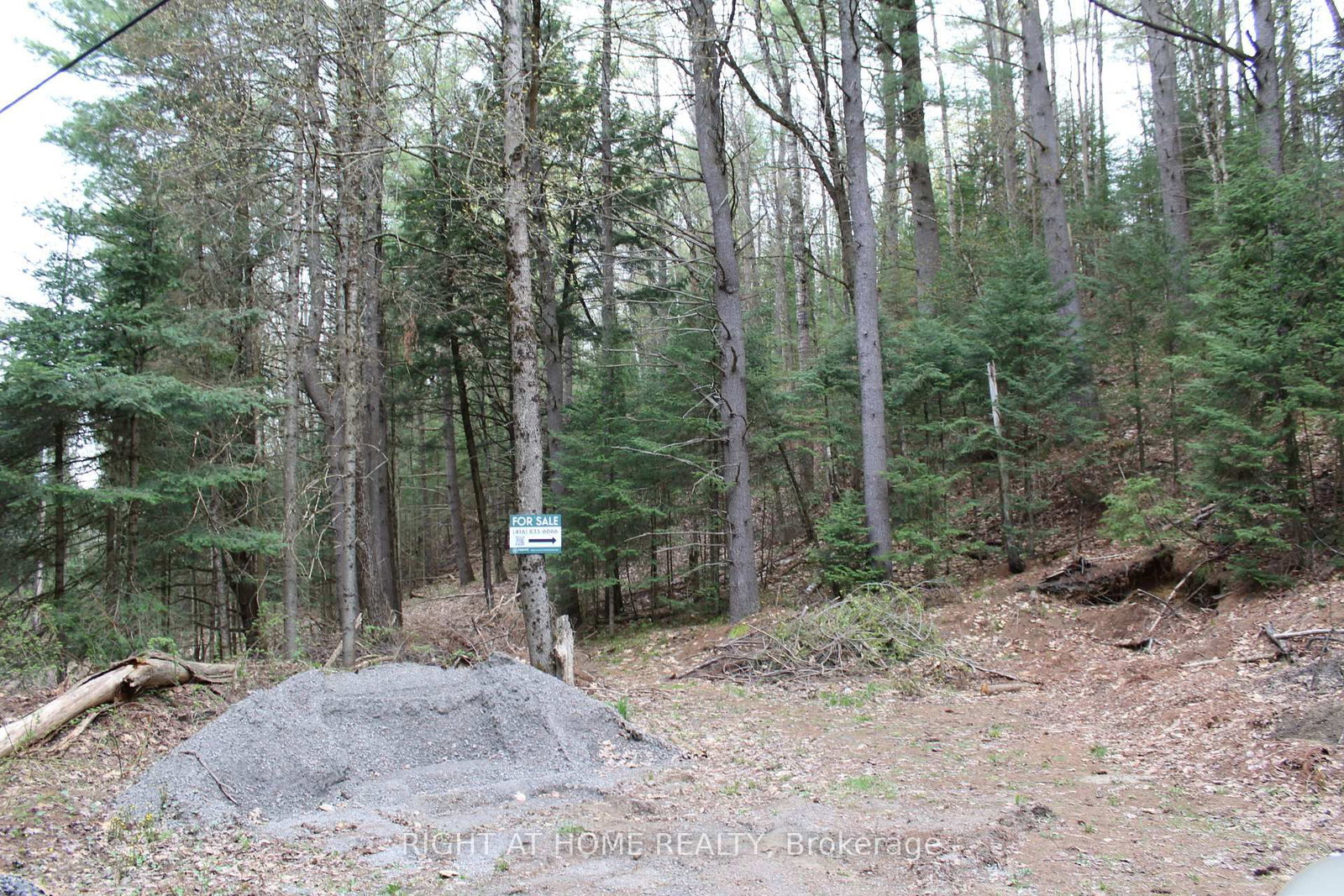 1019 Forrester Trail • Bracebridge, ON photo 5