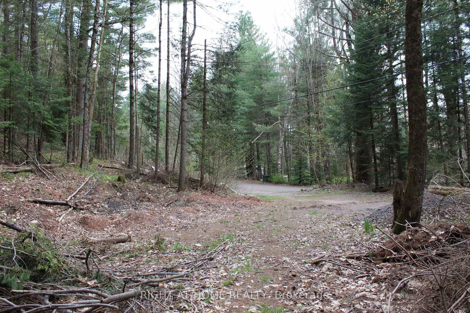 1019 Forrester Trail • Bracebridge, ON photo 6