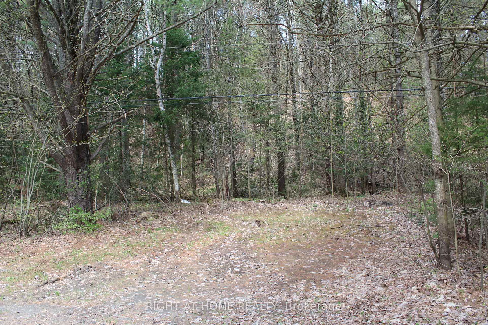 1019 Forrester Trail • Bracebridge, ON photo 8