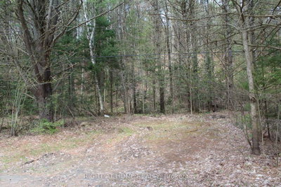 1019 Forrester Trail • Bracebridge, ON photo 8