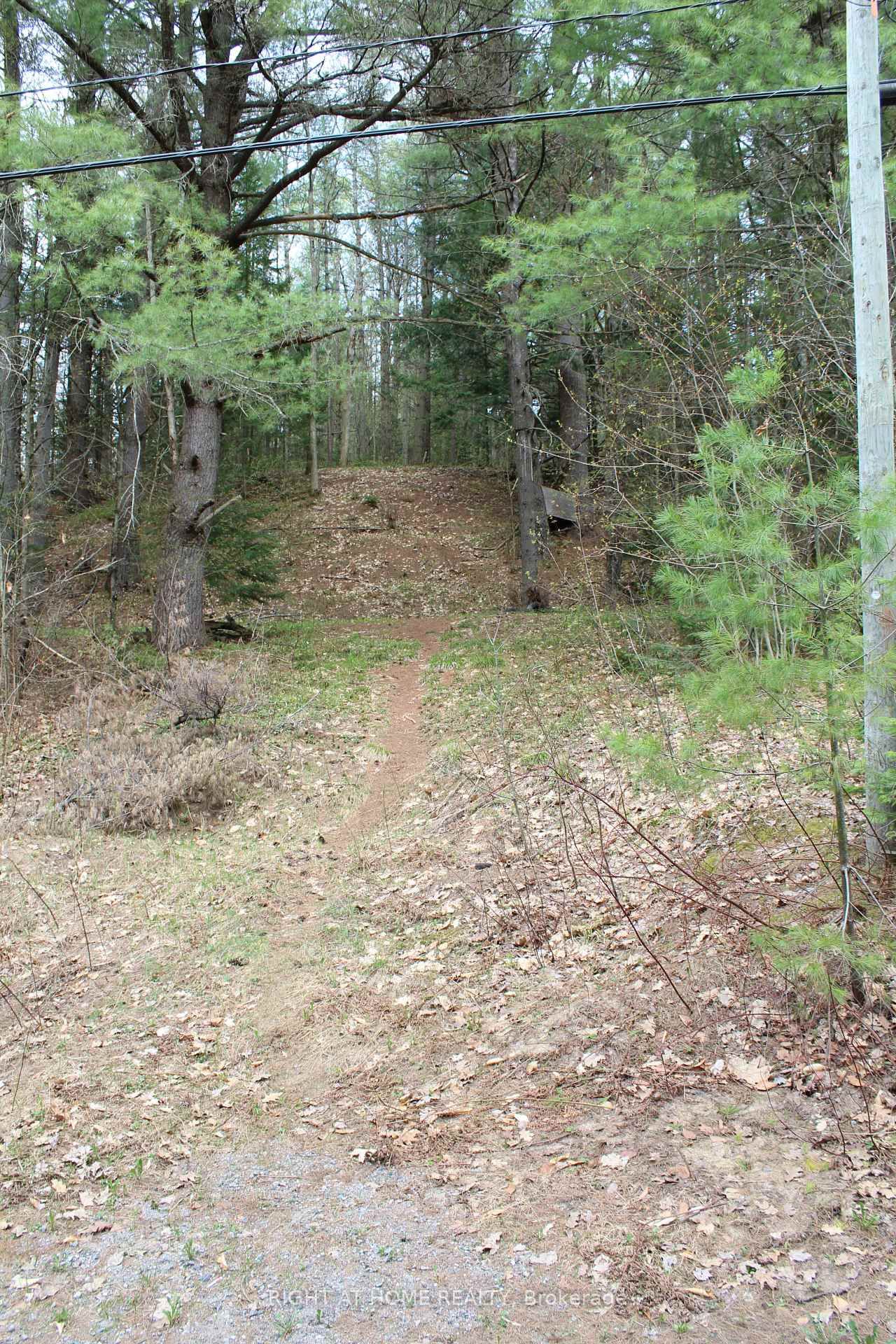 1019 Forrester Trail photo 9