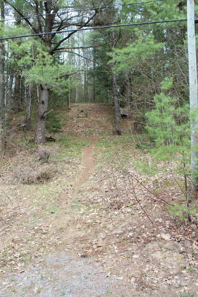 1019 Forrester Trail • Bracebridge, ON photo 9