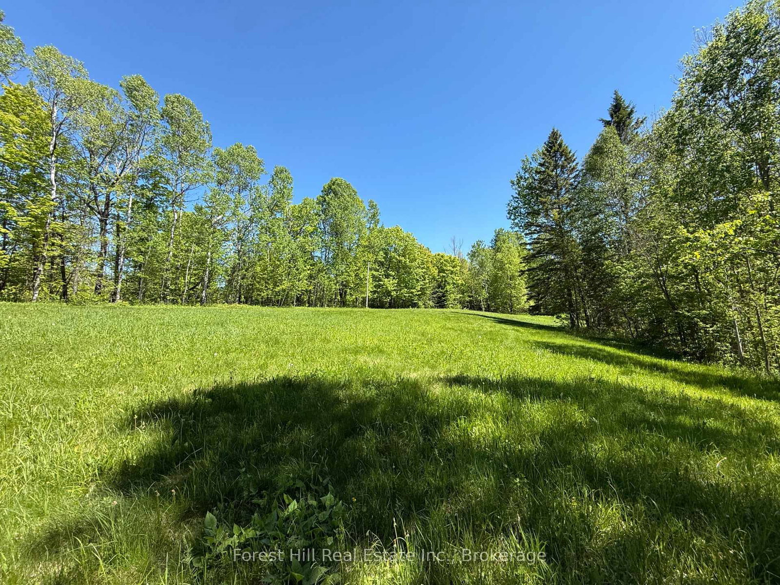 0 East Road • Parry Sound Remote Area, ON photo 2