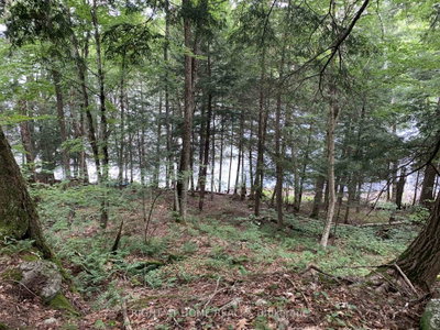 pt 3 Shadows End Lane • Magnetawan, ON photo 4