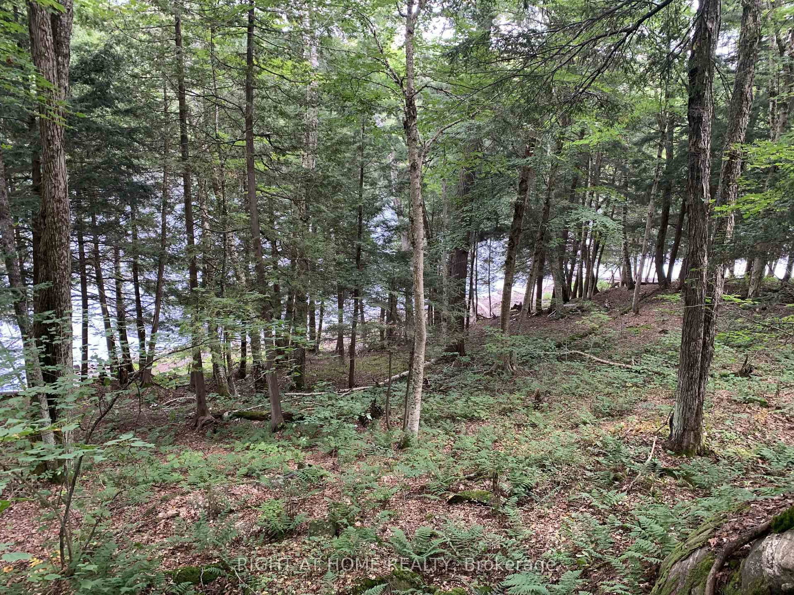 pt 3 Shadows End Lane • Magnetawan, ON photo 5
