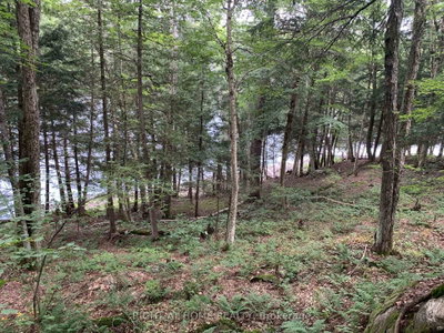 pt 3 Shadows End Lane • Magnetawan, ON photo 5