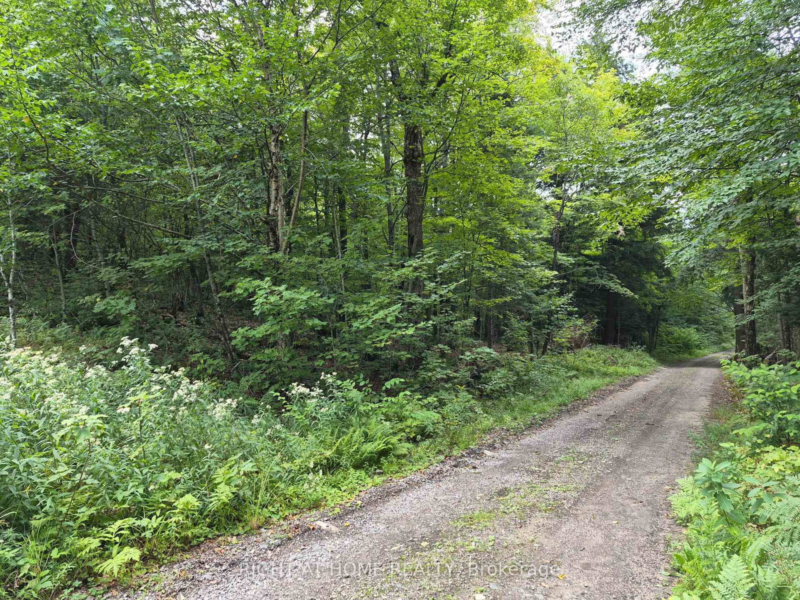pt 3 Shadows End Lane • Magnetawan, ON photo 8