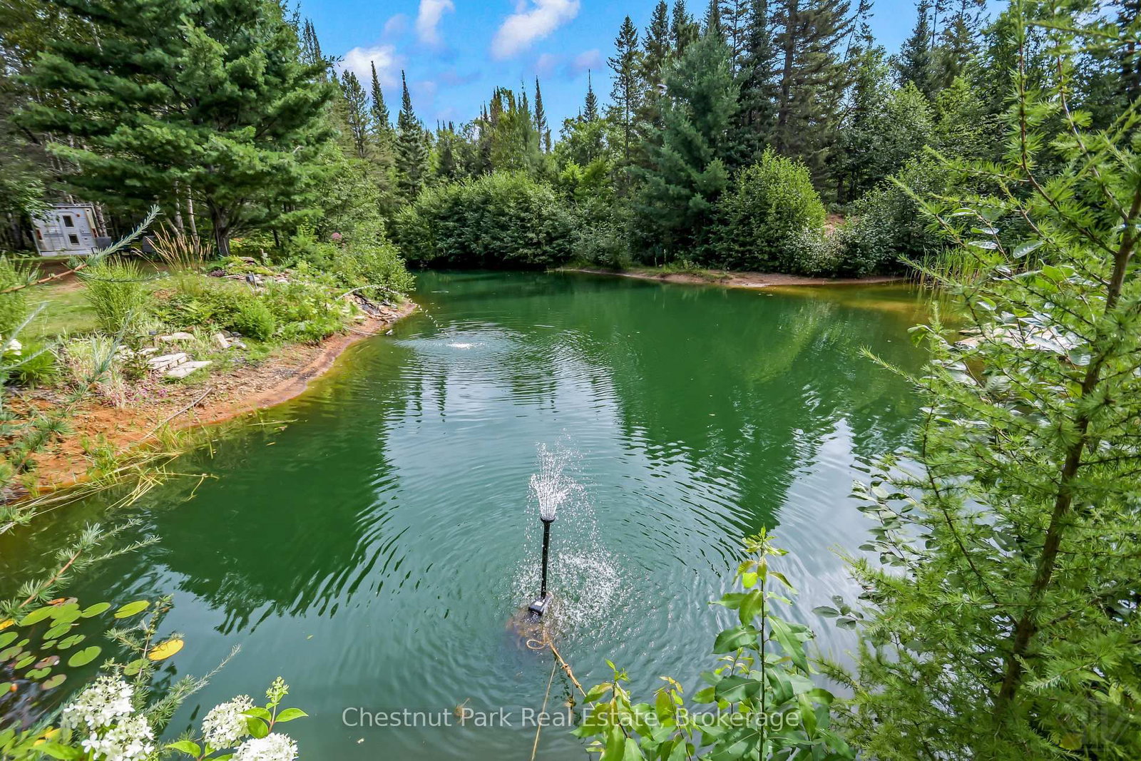 336 Rain Lake Road • Kearney, ON photo 34