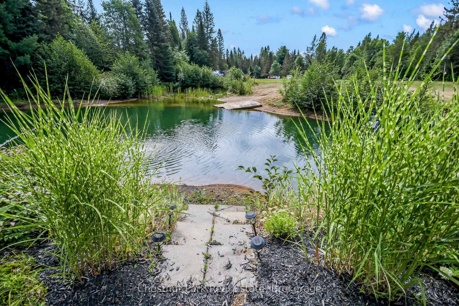 336 Rain Lake Road • Kearney, ON photo 35