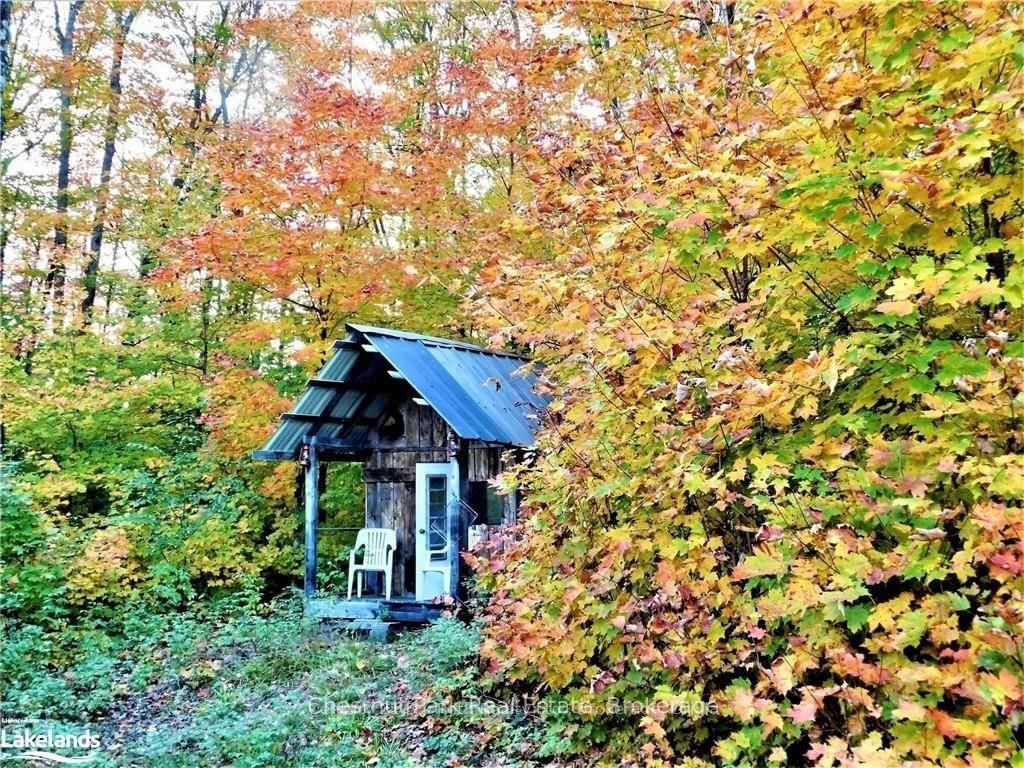 336 Rain Lake Road • Kearney, ON photo 37