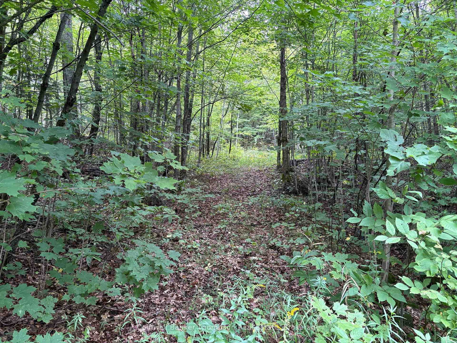 695B Spring Lake Road • Parry Sound Remote Area, ON photo 28