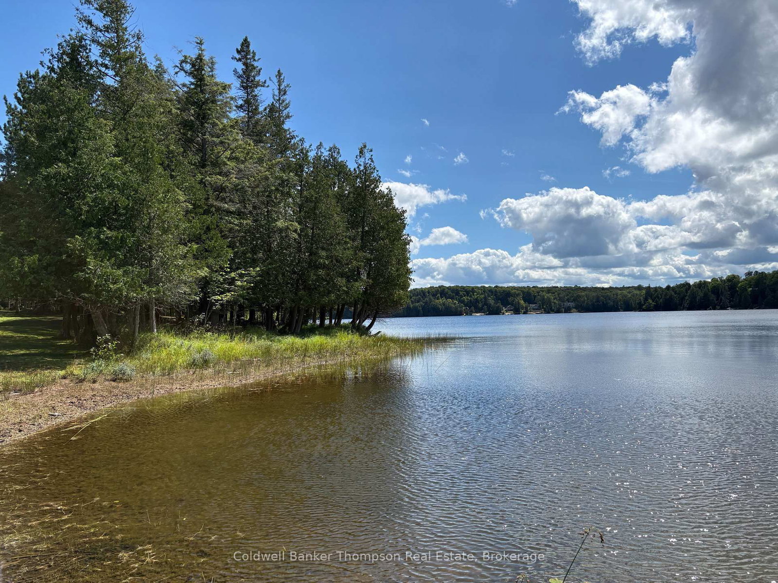 695B Spring Lake Road • Parry Sound Remote Area, ON photo 4