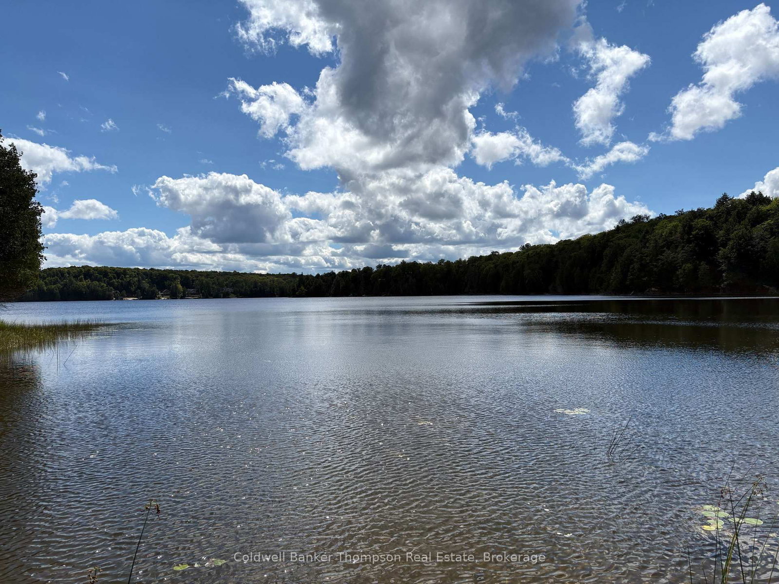 695B Spring Lake Road • Parry Sound Remote Area, ON photo 5