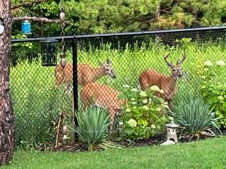 1824 Upper West Avenue • London South, ON photo 40