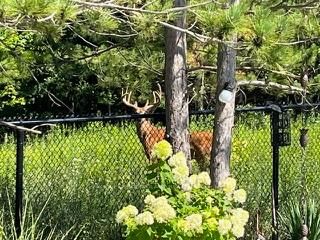 1824 Upper West Avenue • London South, ON photo 44