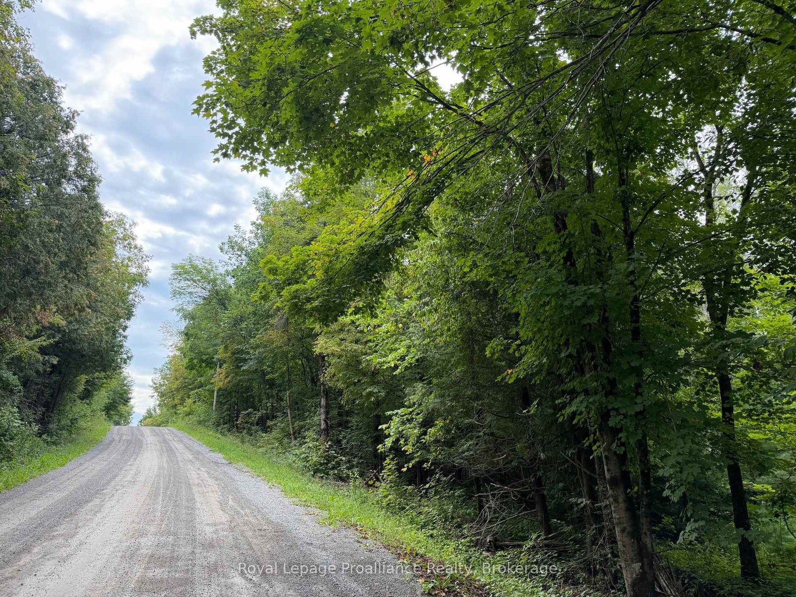 0 Twin Sisters Lake Road • Limoges, ON photo 3