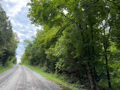 0 Twin Sisters Lake Road • Limoges, ON photo 4