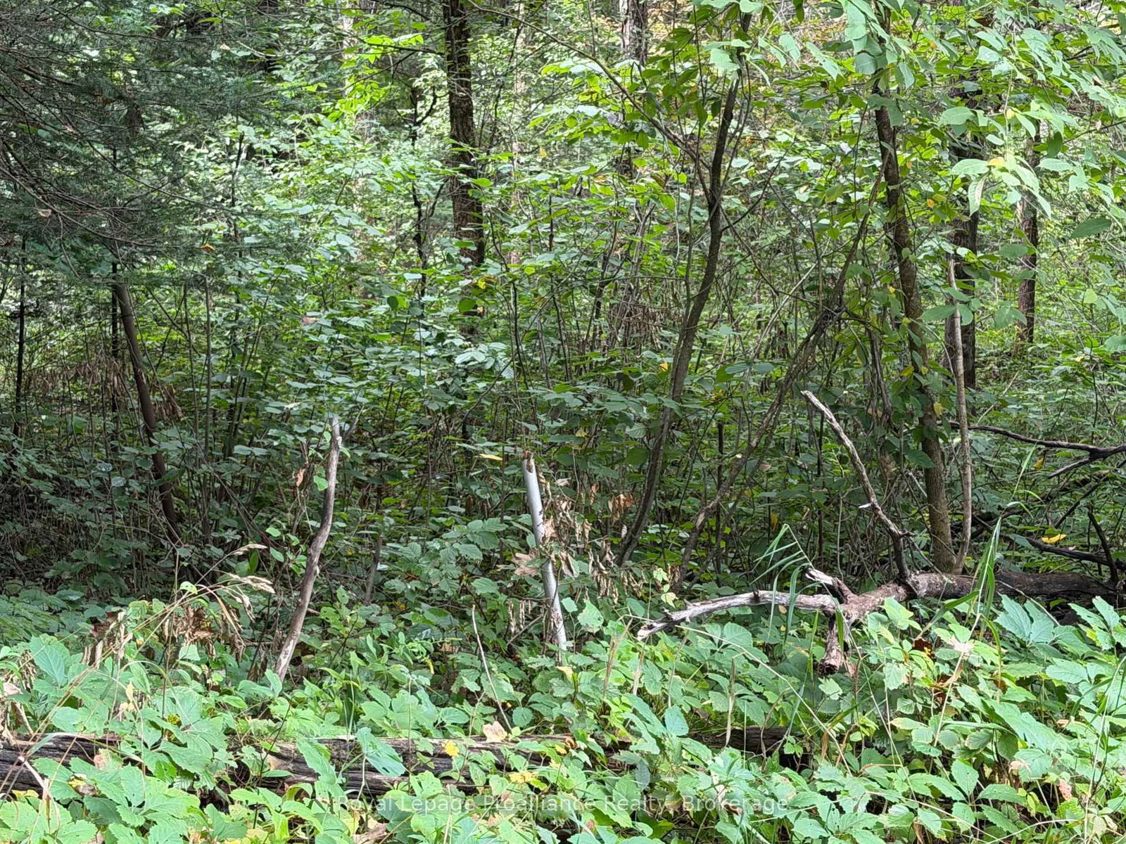 0 Twin Sisters Lake Road • Limoges, ON photo 5