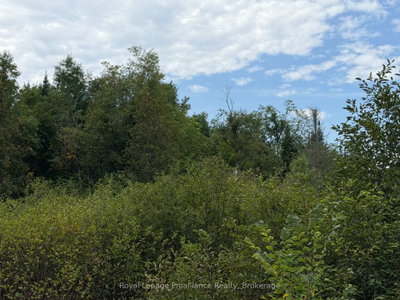 0 Twin Sisters Lake Road • Limoges, ON photo 6