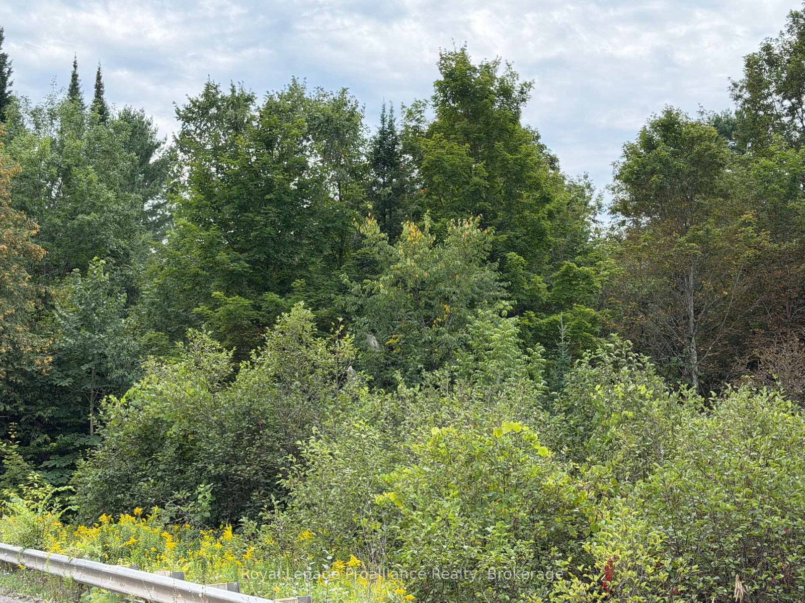 0 Twin Sisters Lake Road • Limoges, ON photo 7