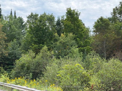 0 Twin Sisters Lake Road • Limoges, ON photo 7