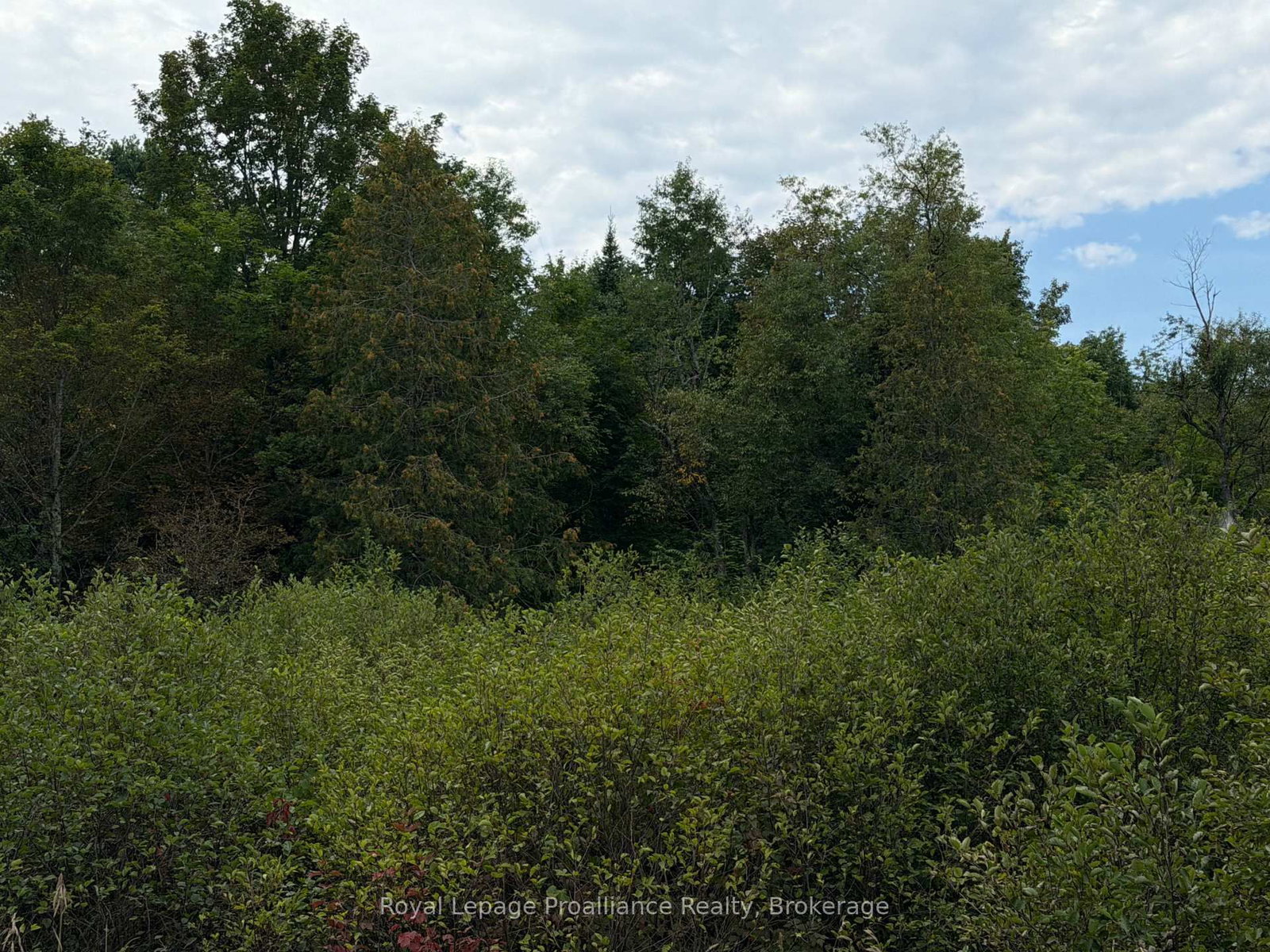 0 Twin Sisters Lake Road • Limoges, ON photo 8